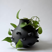 Clara Vessel